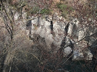 cantara piccole gole19022012 058